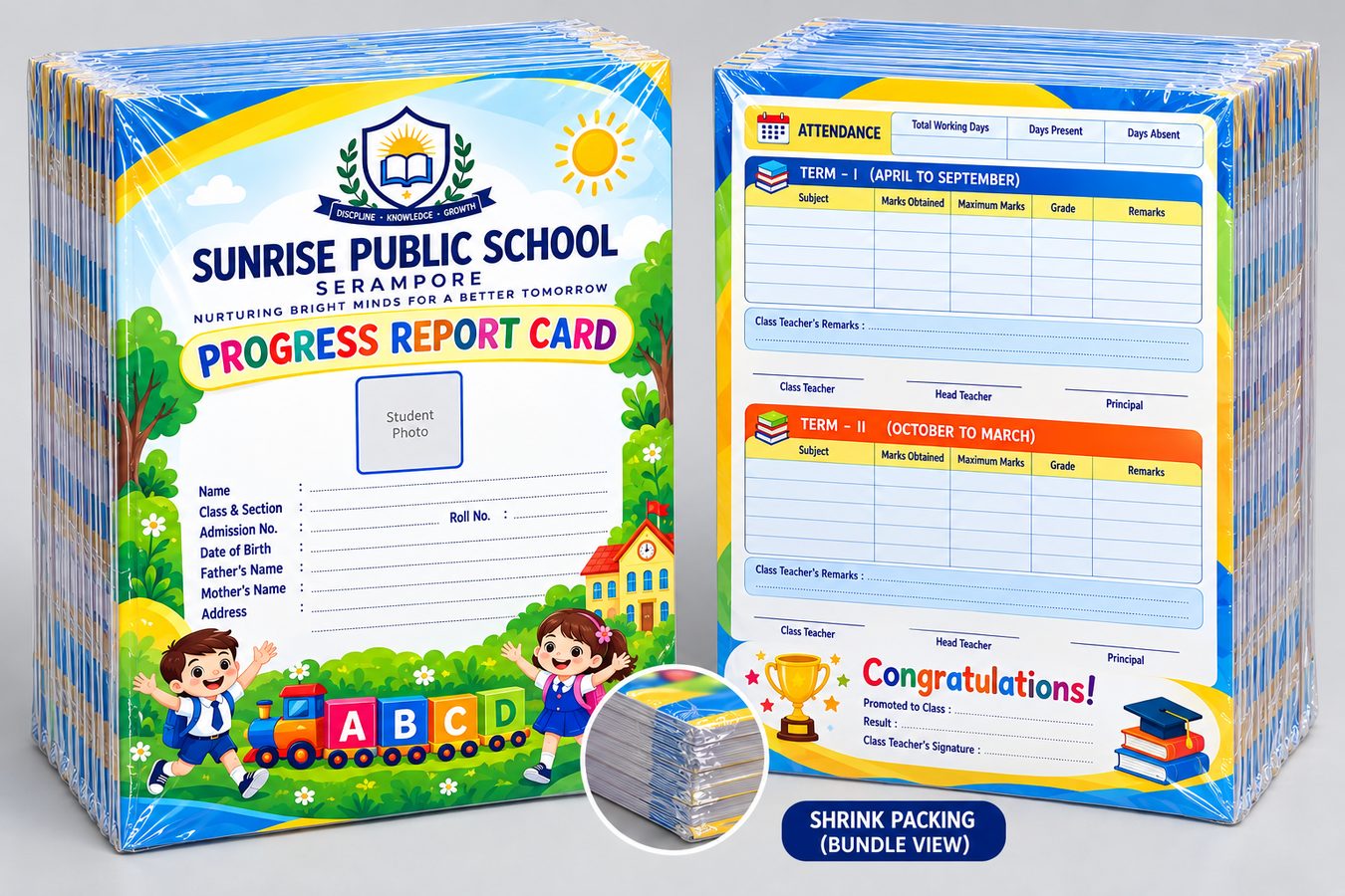 Report Card/Progress Report - View 3
